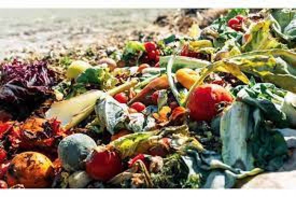 العالم يهدر نحو 750 مليار دولار من الغذاء سنويا