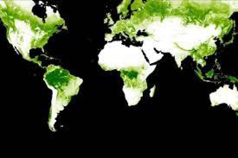 أميركا الجنوبية بؤرة التنوع والأنواع المجهولة