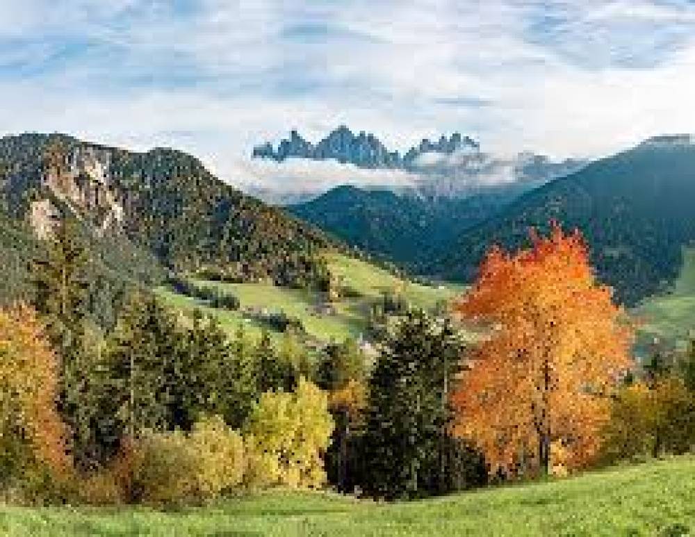 اوقفوا "الحرب الانتحارية ضد الطبيعة