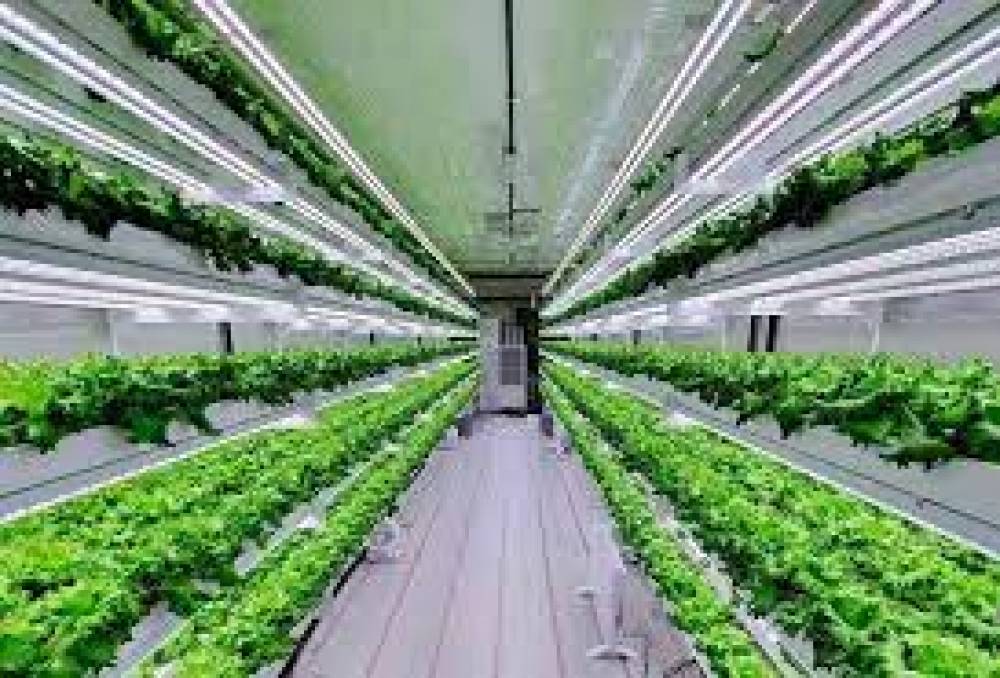  المشروع المبتكر في مجال "التكنولوجيا الزراعية" 