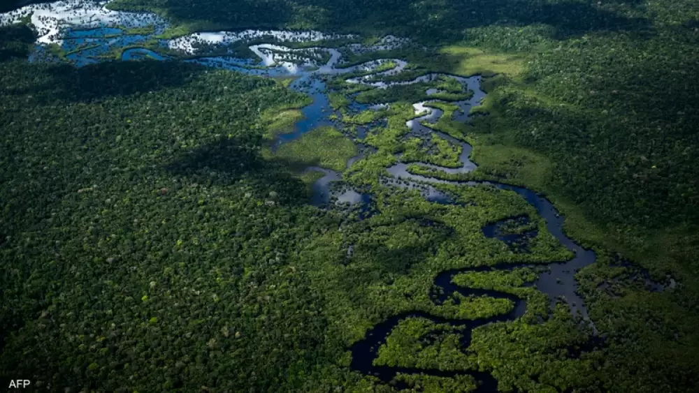 رئيس البرازيل يحمل "رئة العالم" إلى قمة المناخ في شرم الشيخ